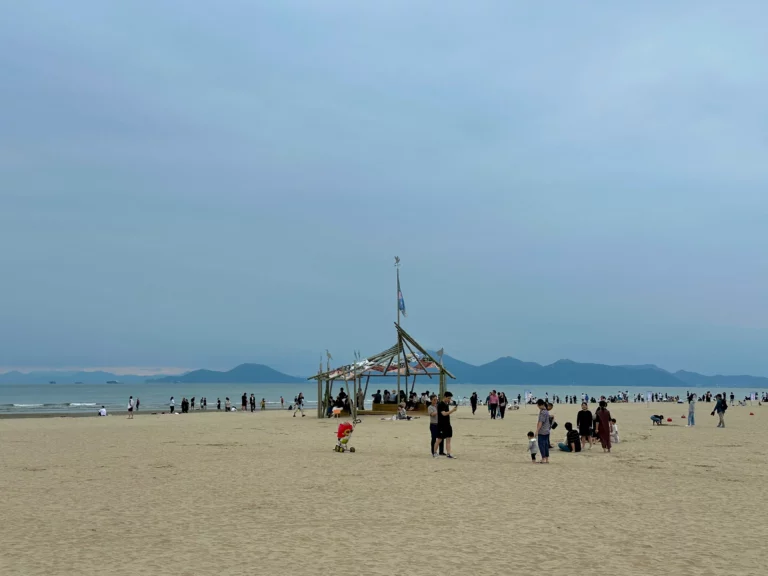 Read more about the article 2025 바다미술제 관람 후기 / 부산 다대포해수욕장 바다미술제